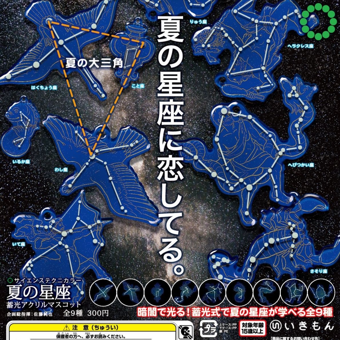 Stc 夏の星座 蓄光アクリルマスコット 株式会社いきもん Webストア