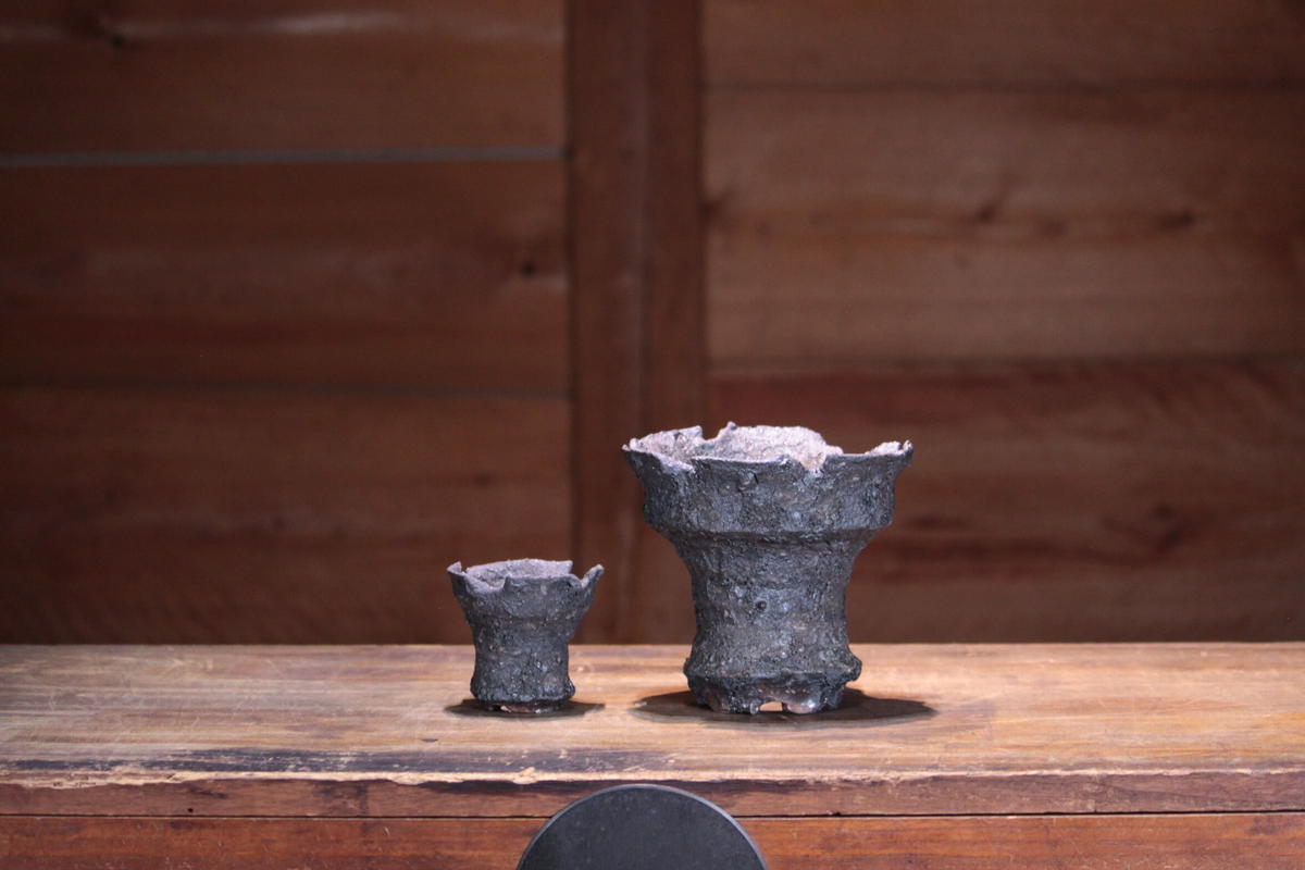 阪本健 植木鉢 XPLANTS コラボ鉢