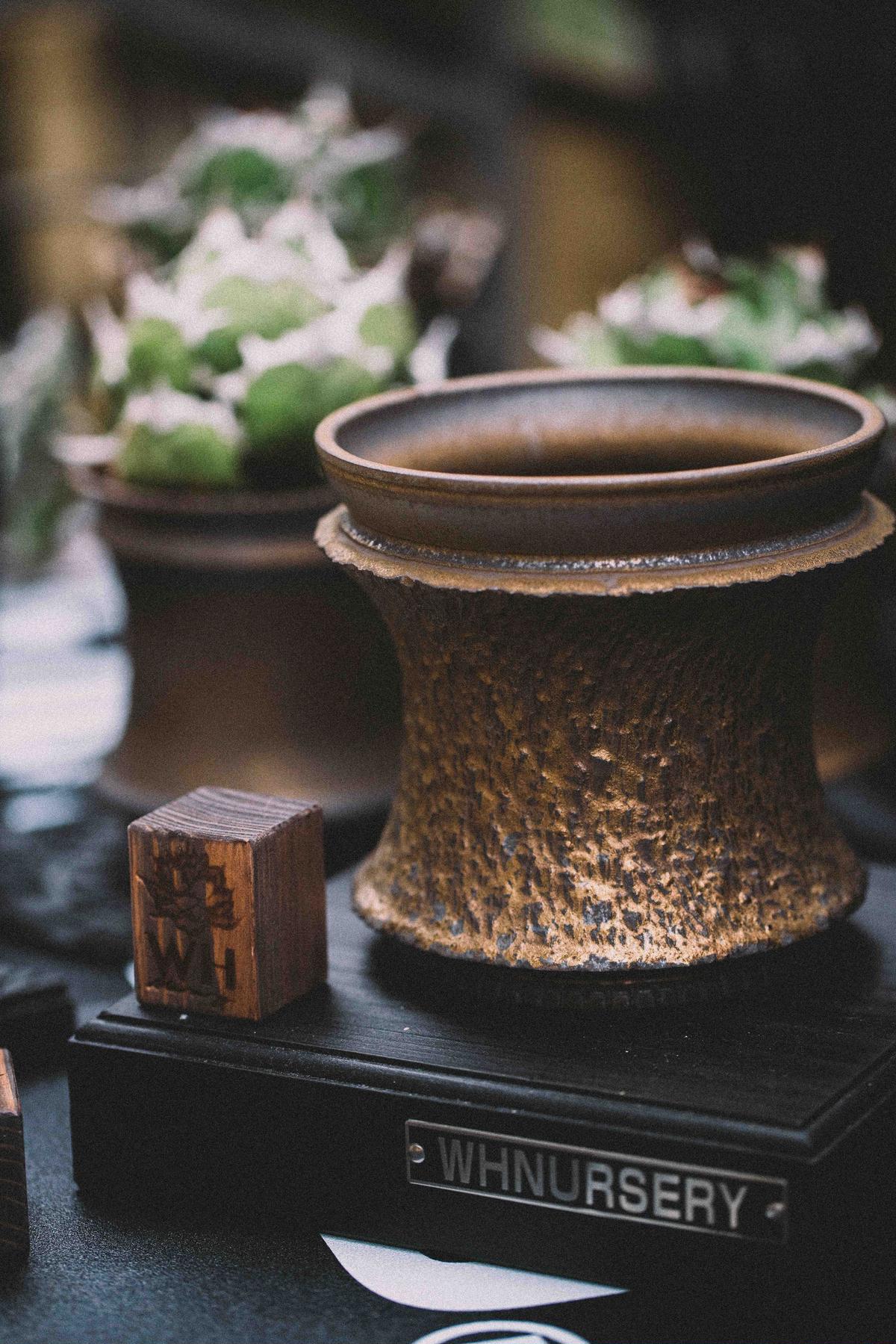 オプティミスティック ytyf鉢　特注品