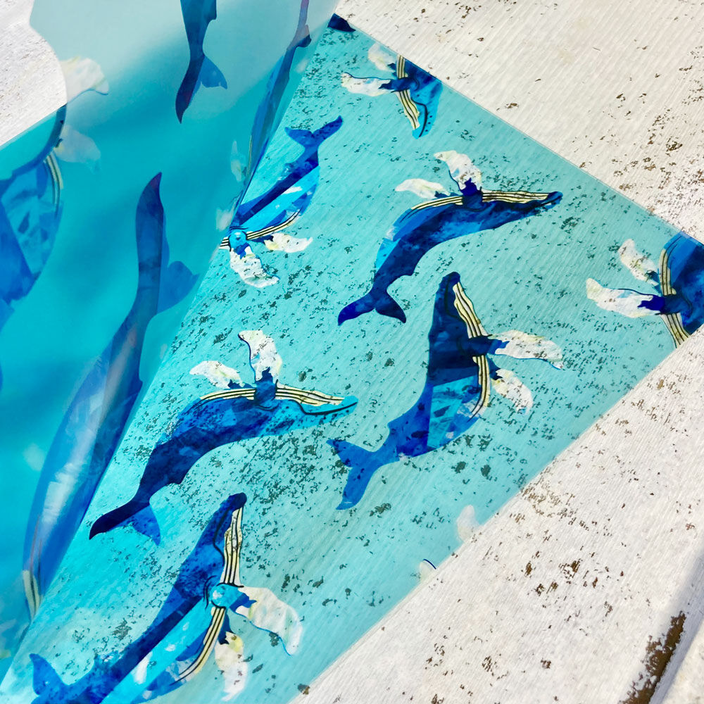 ザトウクジラ クリアファイル クジラの雑貨屋さん