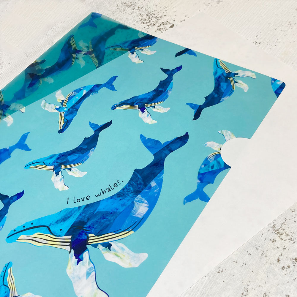 ザトウクジラ クリアファイル クジラの雑貨屋さん