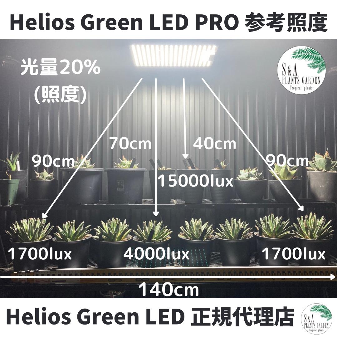 高評価在庫 ヘリオスグリーン LEDライトブラック 2個セットHelios ...