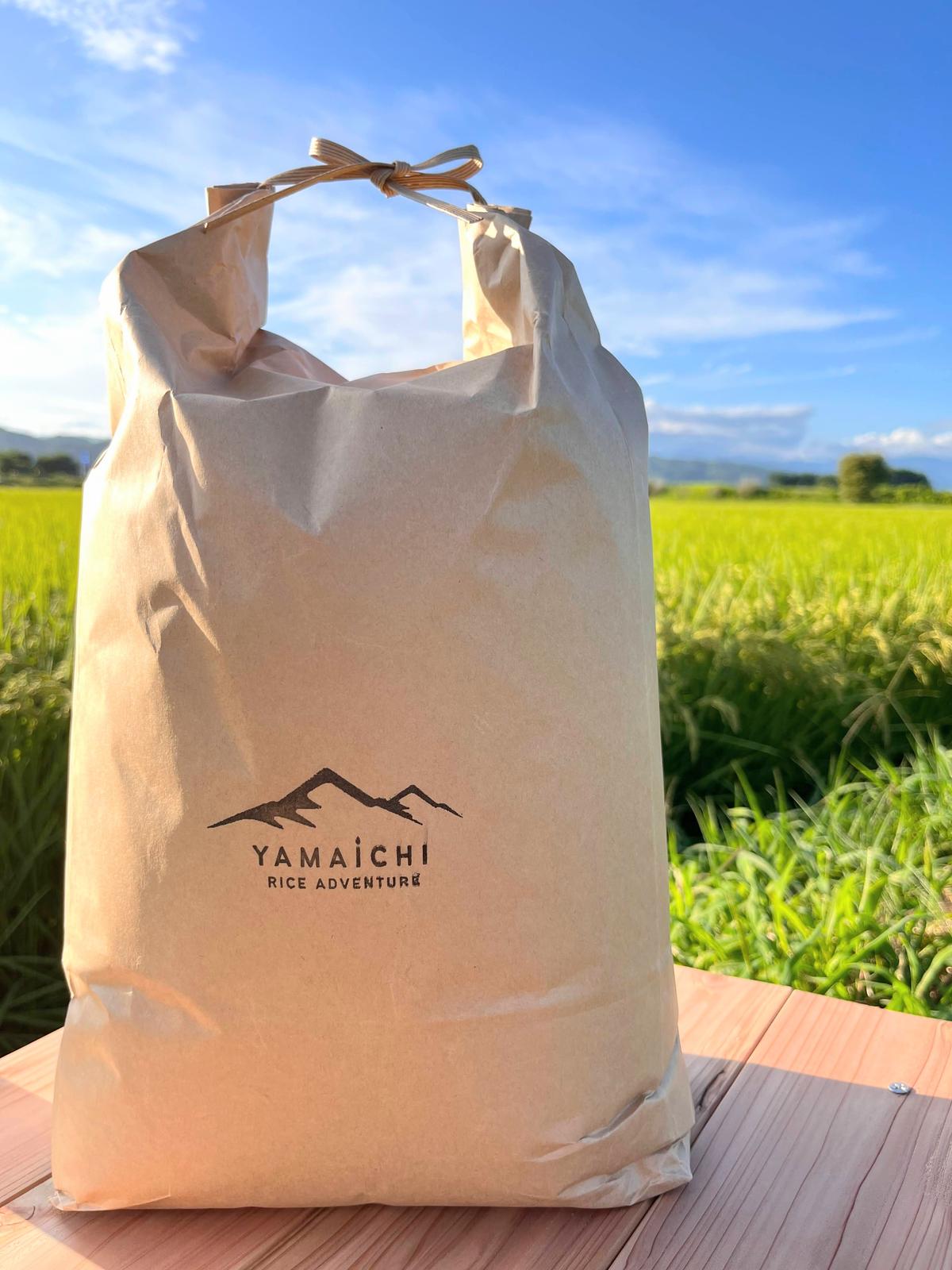 収穫したて☆ 令和4年度産コシヒカリ玄米30kg 岐阜県垂井町