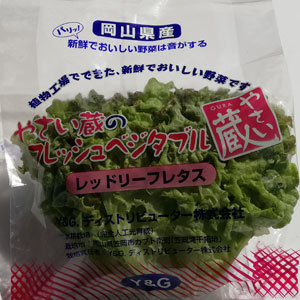 レッドリーフレタス ワコーファーム Store