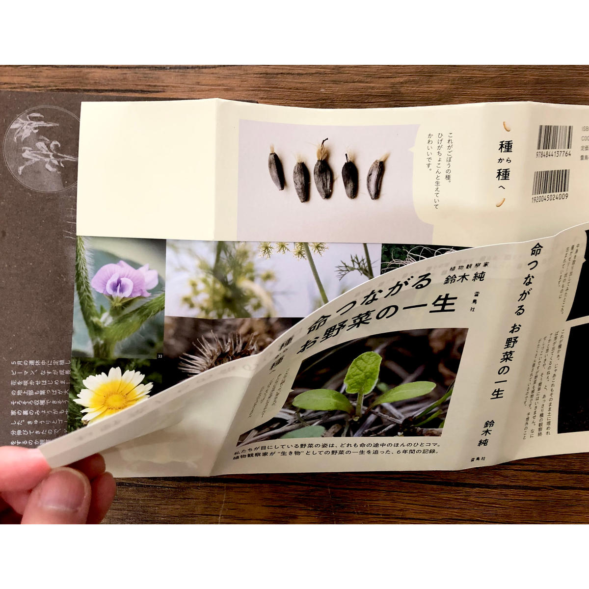 種から種へ 命つながるお野菜の一生 よもぎbooks