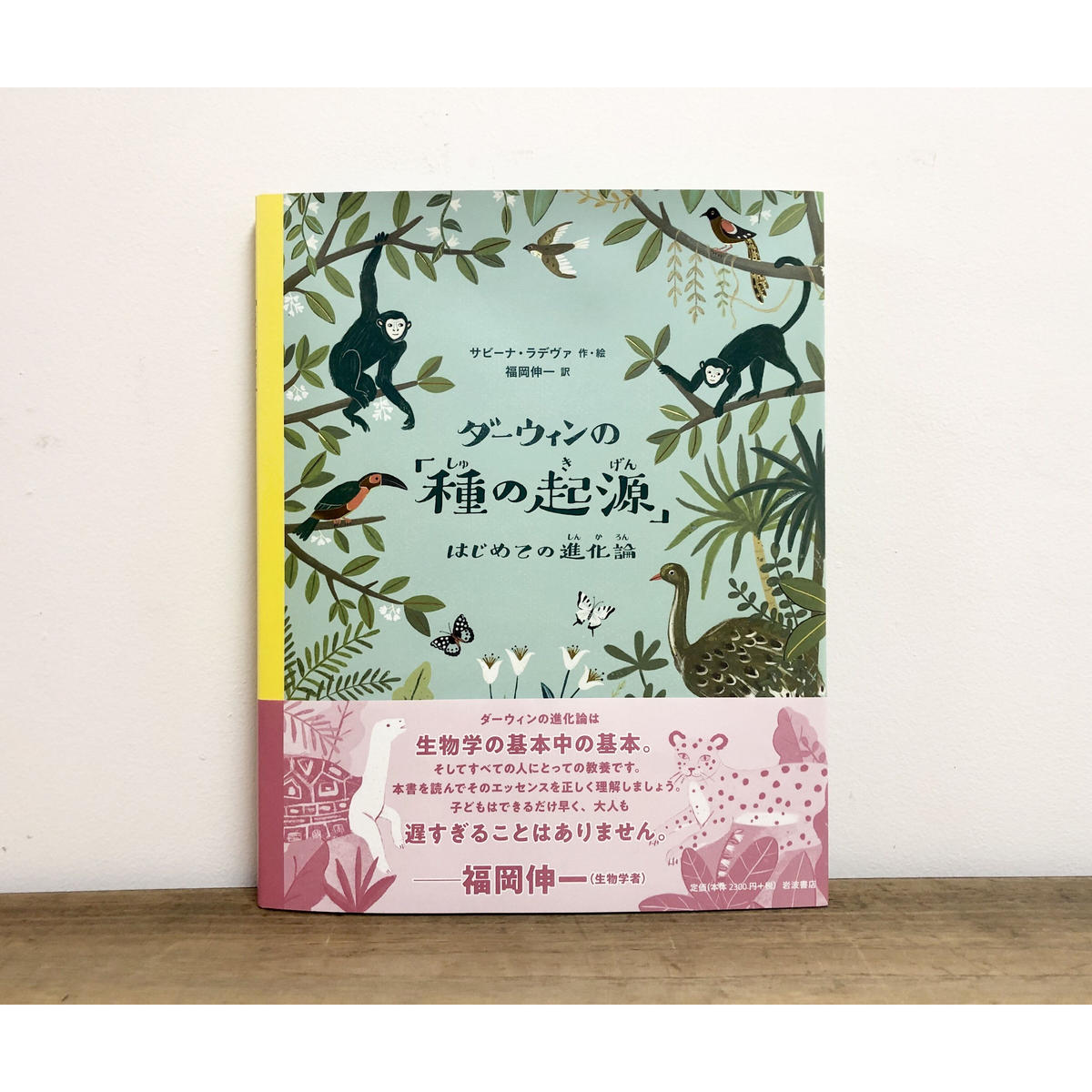 ダーウィンの 種の起源 よもぎbooks ダーウィンの 種の起源 よもぎbooks