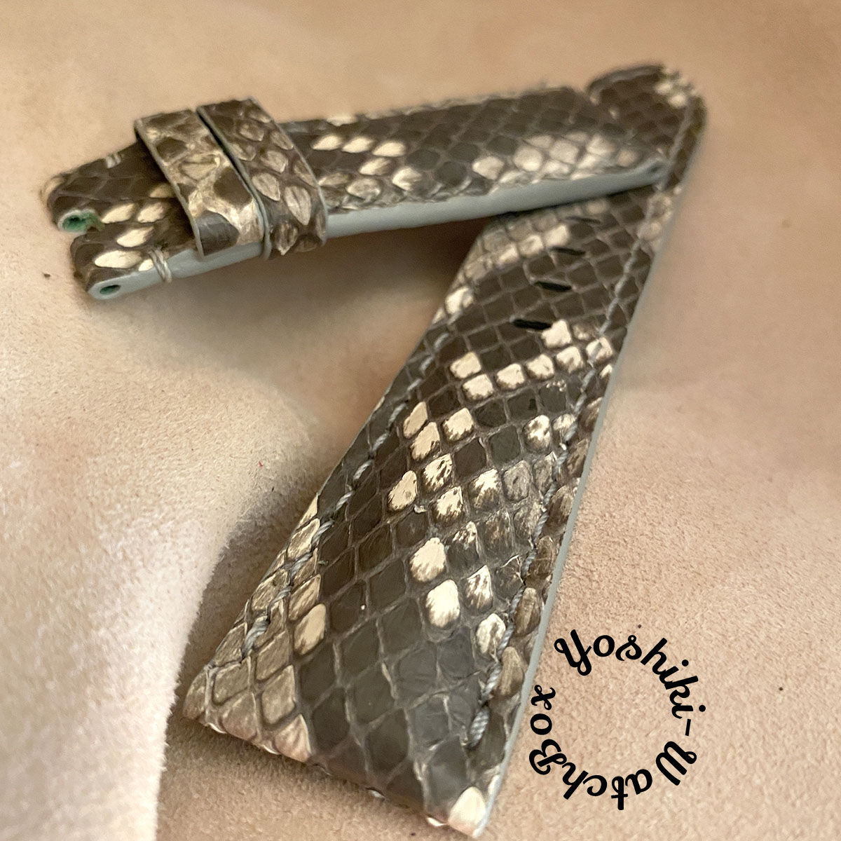 pyt-96 パイソン 腕時計ベルト ナチュラル (ラグ幅26mm) edivisa.com.py