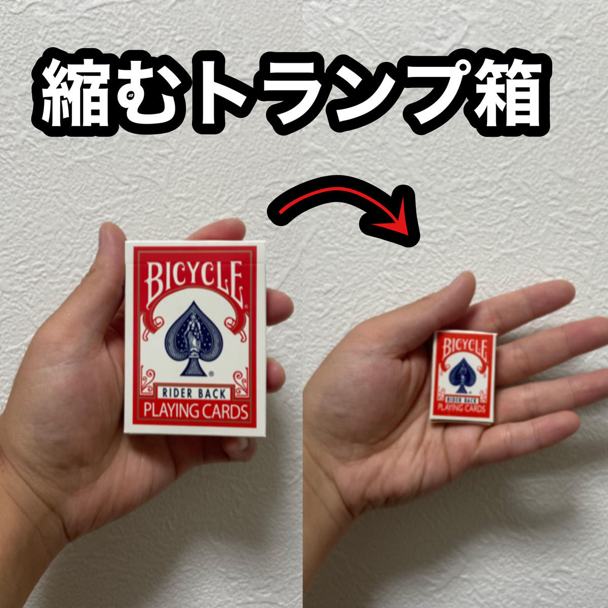 目の前で縮むトランプケース G1054 ミスディレ