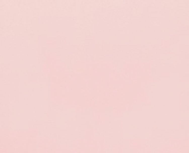 国内外の人気集結 ꫛꫀꪝ 転写 ピンクシルバー ピアス Parkujgo Pl