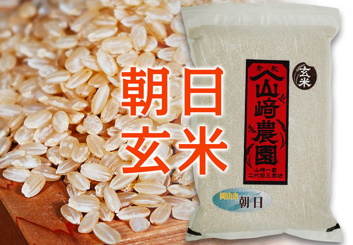 岡山県産 無農薬朝日米 玄米 15kg