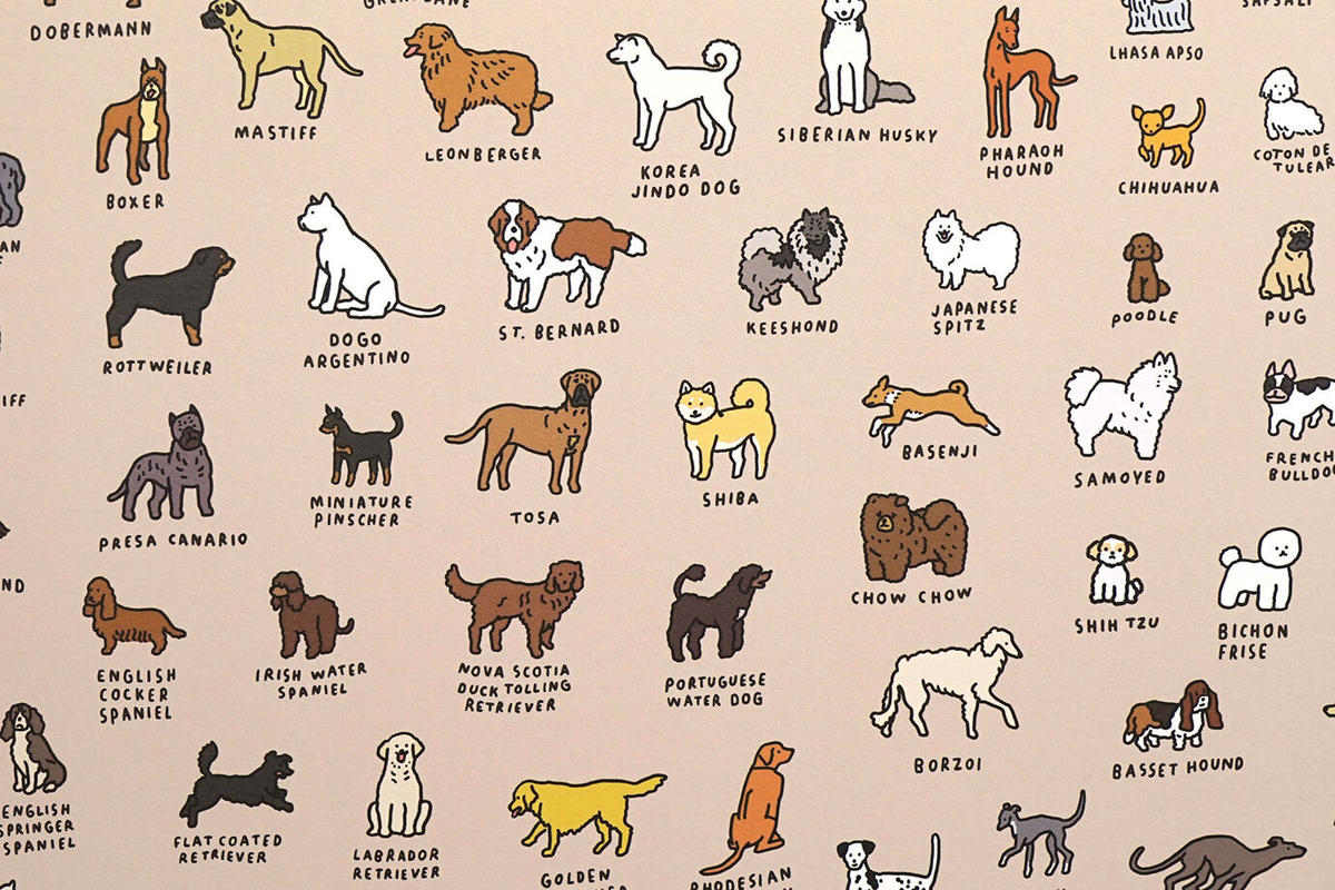 DOG BREEDS (A2) Graphic Dictionary Poster Z...