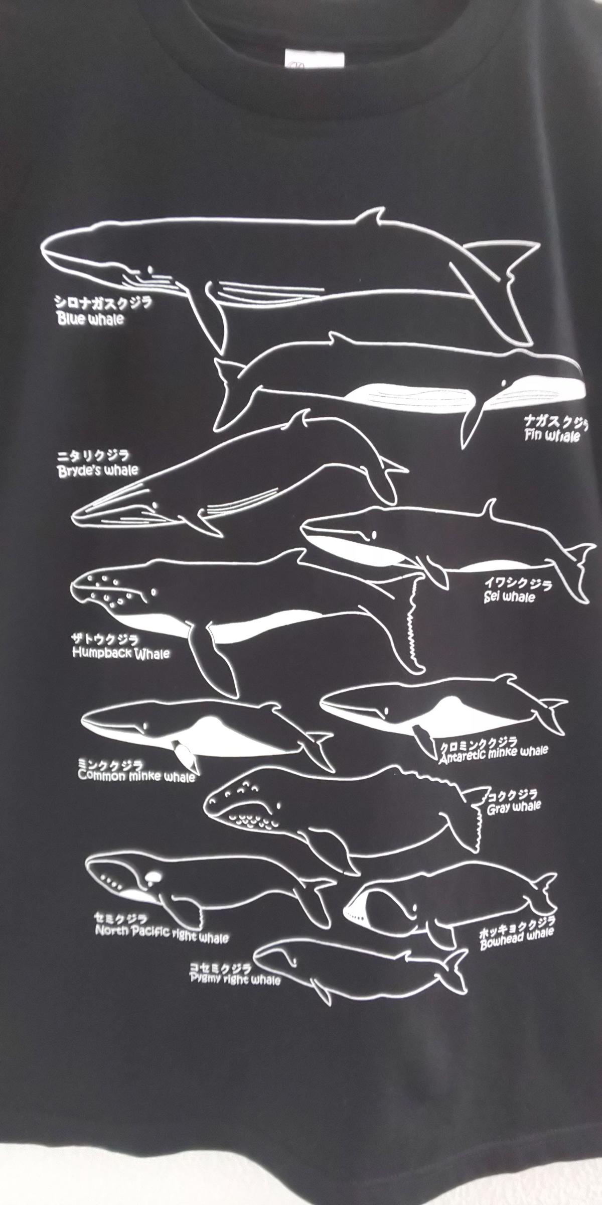 ヒゲクジラt 図鑑tシャツ