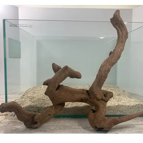 アクアリウム流木販売 アクアリバー