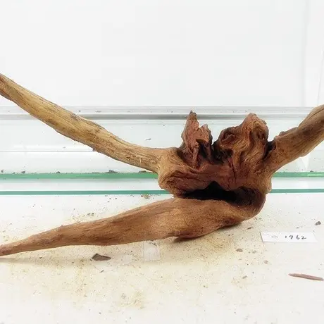 アクアリウム流木販売 アクアリバー