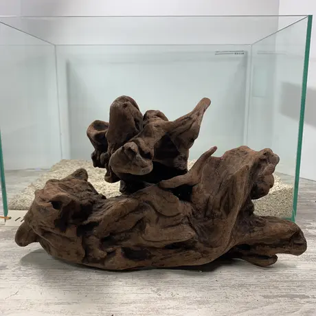 アクアリウム流木販売 アクアリバー