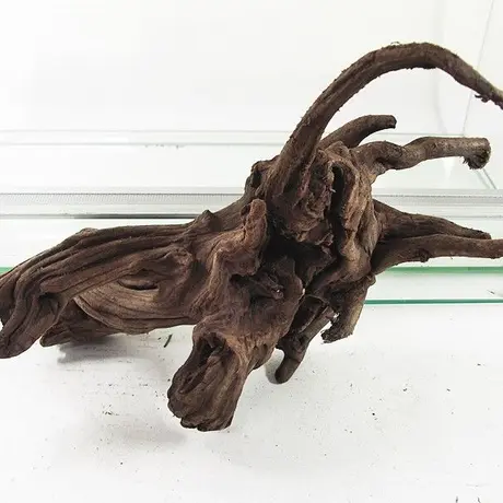 アクアリウム流木販売 アクアリバー