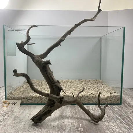 アクアリウム流木販売 アクアリバー