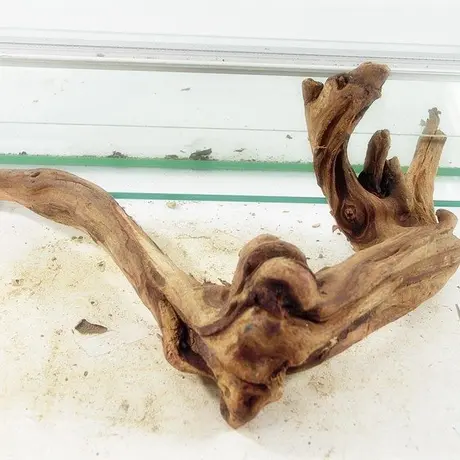 アクアリウム流木販売 アクアリバー