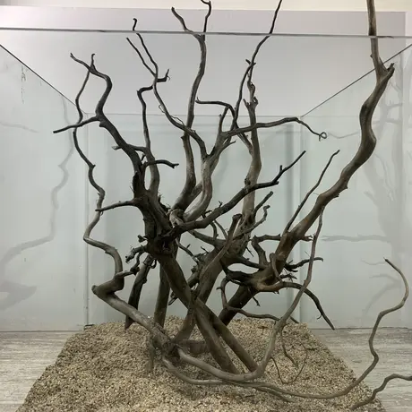 アクアリウム流木販売 アクアリバー