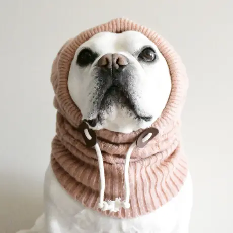 Bowders Border バウダーズボーダー フレンチブルドッグの犬服と雑貨