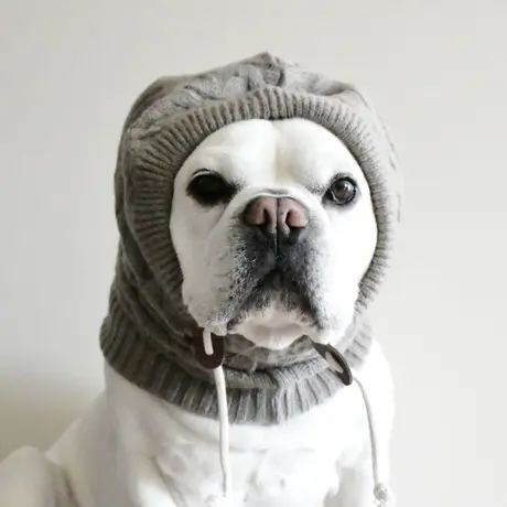 Bowders Border バウダーズボーダー フレンチブルドッグの犬服と雑貨