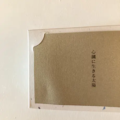 池田彩乃｜心臓に生きる太陽（作品）