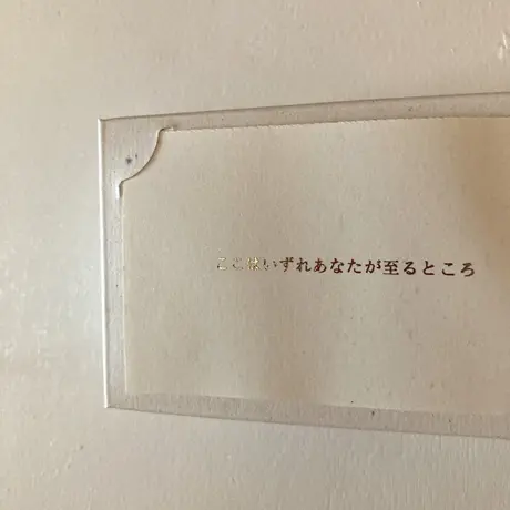 池田彩乃｜ここはいずれあなたが至るところ（作品）