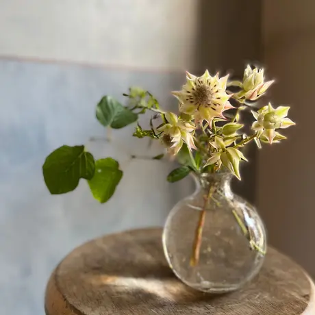 花福 オンラインショップ