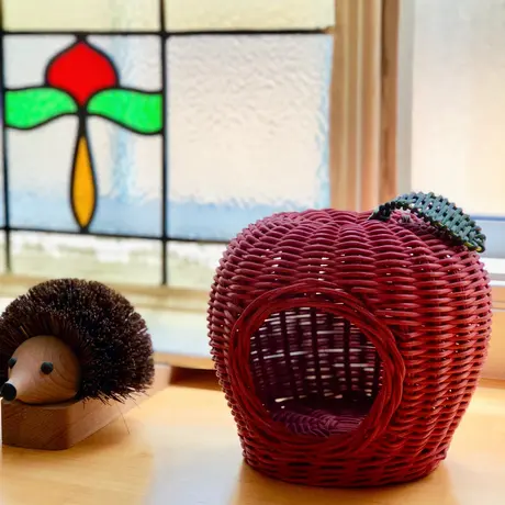 ハリネズミの隠れ家