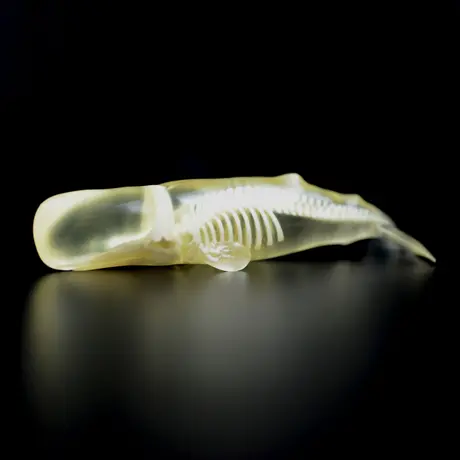 3d_toyfeather 玉骨標本 イーグル 100羽限定 3Dプリンター