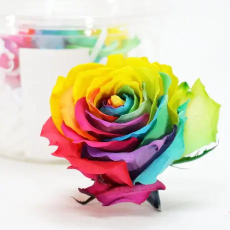 Hana Gradation Hana Gradation