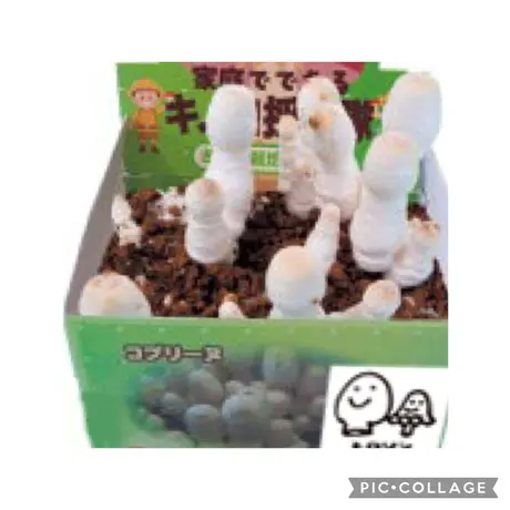 オンラインショップ】 まっしゅるーむ様ご依頼商品 テーブル用品 - udm