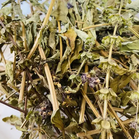 工房 ひよりの森