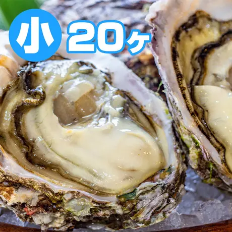 徳島産天然岩牡蠣 イワガキ の通販 お取り寄せなら丸髙水産