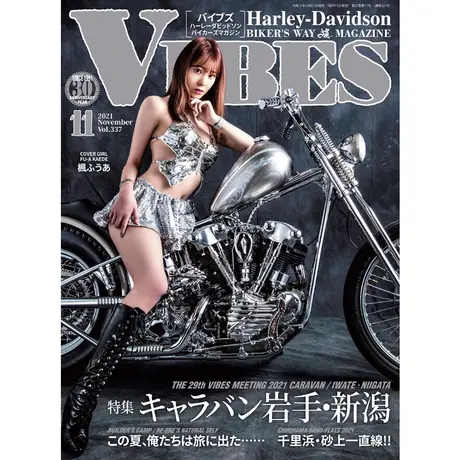 Vibes Magazine Shop Vibes Magazine Shop