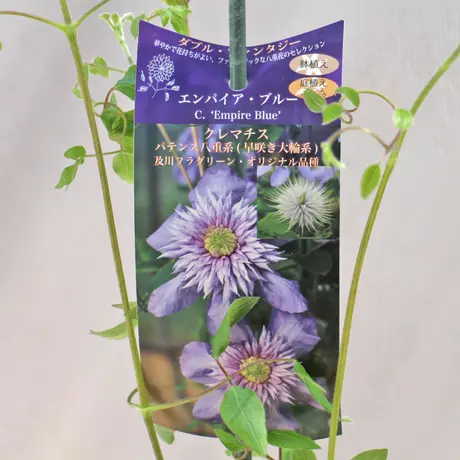 ローザンベリー多和田公式オンラインストア