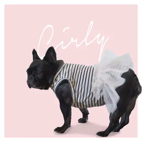フレンチブルドッグの犬服 ビビビ