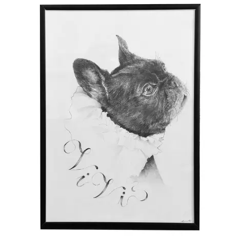 フレンチブルドッグと中型犬の犬服 ビビビ