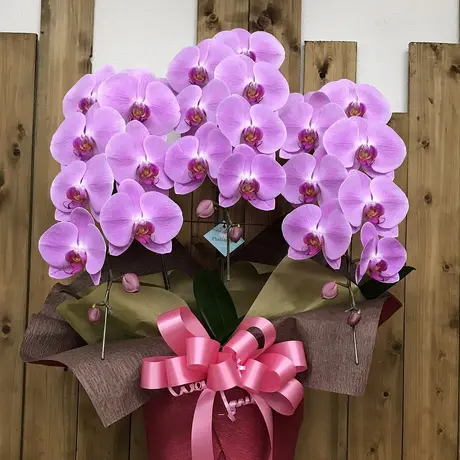 立花ガーデン フラワーショップ 公式通販 立花ガーデン フラワーショップ 公式通販