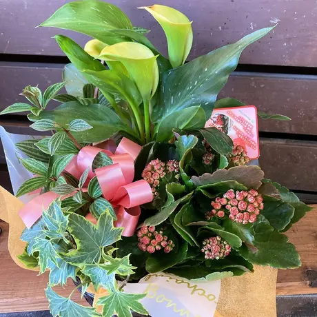 立花ガーデン フラワーショップ 公式通販