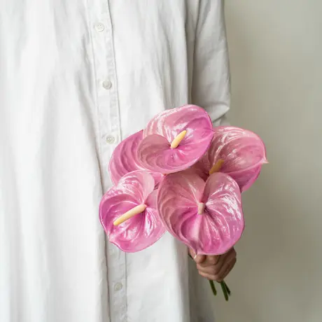 Tokyo Shokubutsu Zufu