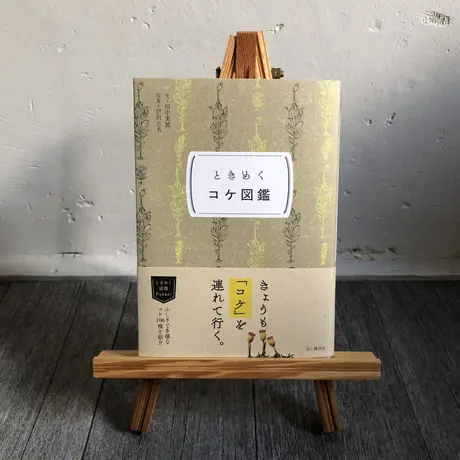 ウニスカストア