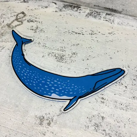 クジラの雑貨屋さん