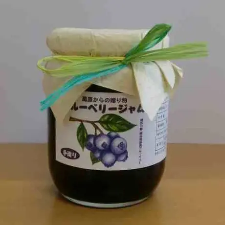 開田高原ブルーベリー