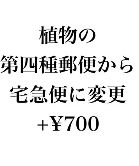 奇妙な植物園 奇妙な植物園
