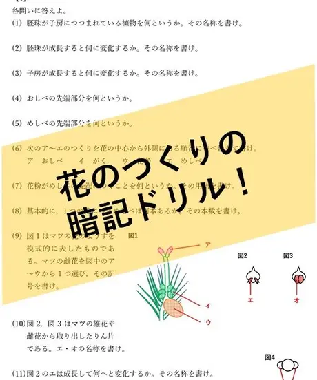 中学理科ポイントまとめと整理 オンラインショップ