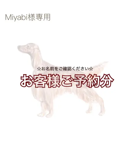 Borzoi様専用 Legacyinteriordesignmp Com Br