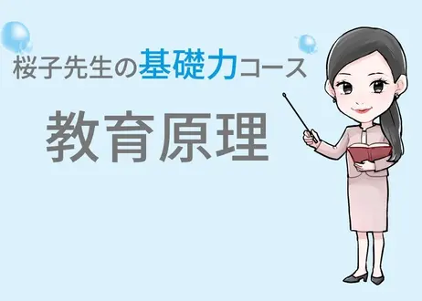【お取り寄せ】 桜子様専用 - ネイルチップ/付け爪