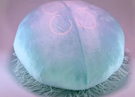 海月灯りオンラインショップ 海月灯りオンラインショップ