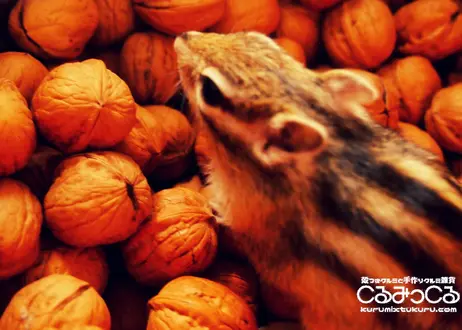 くるみ農家がはじめた殻つきクルミと手作り胡桃雑貨のお店 くるみっくる